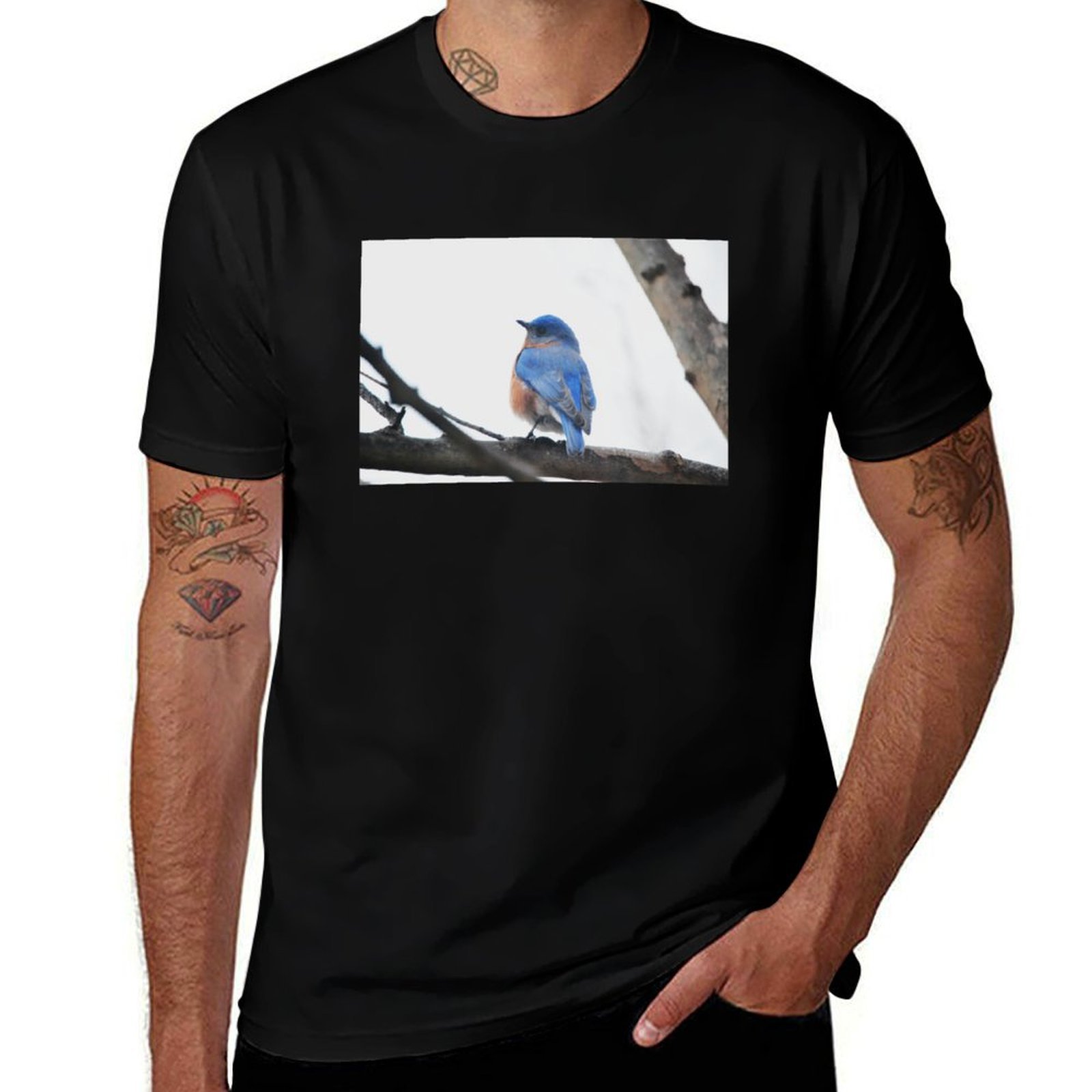 Camiseta de manga corta para h - Photography Training reseña y precio