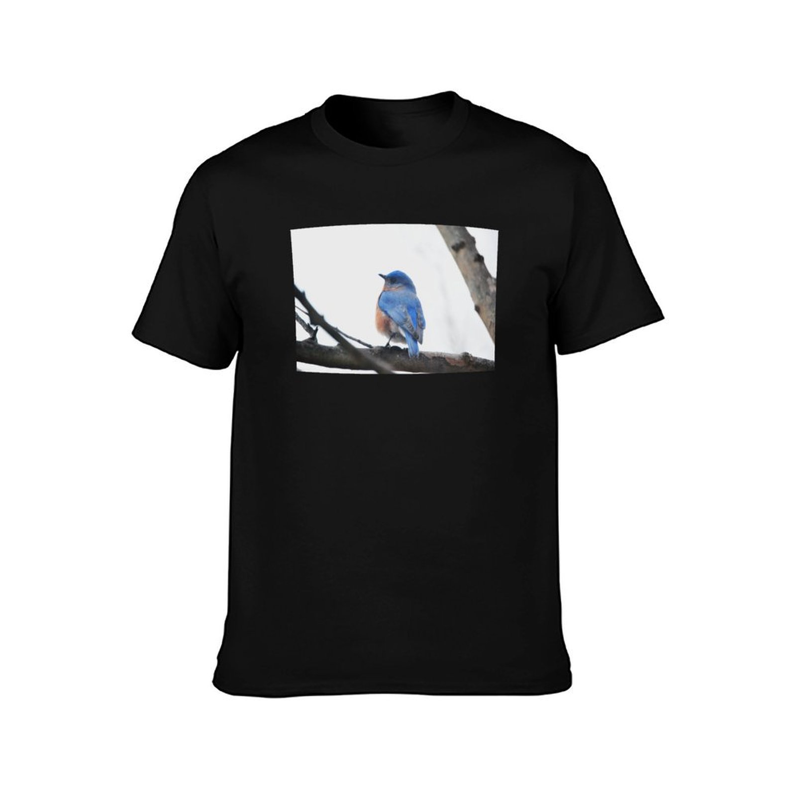 Camiseta de manga corta para h - Photography Training reseña y precio