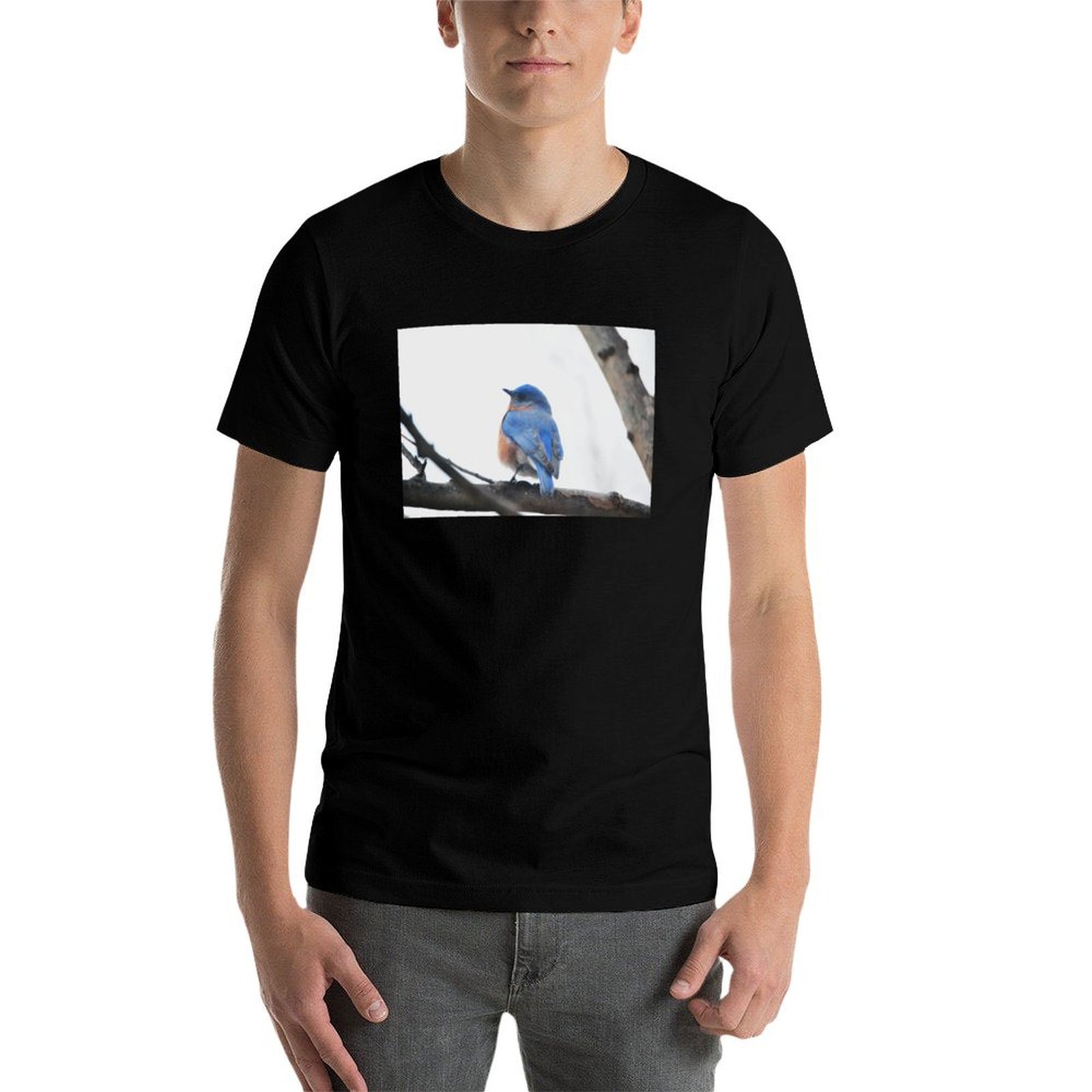 Camiseta de manga corta para h - Photography Training reseña y precio